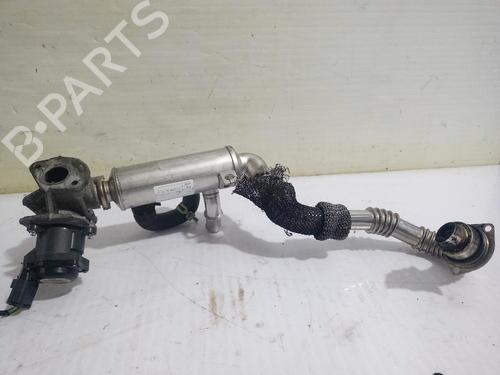 Egr FORD FOCUS C-MAX (DM2) 1.6 TDCi | BP31560295M69