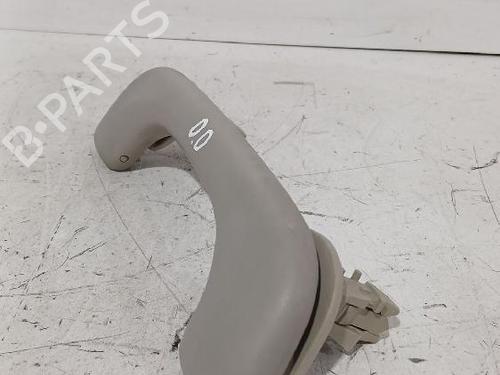 Interior roof handle RENAULT MEGANE II (BM0/1_, CM0/1_) 1.9 dCi (BM0G, CM0G) | BP32465803I35 