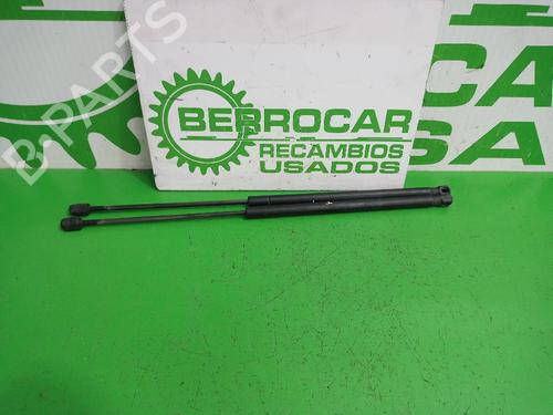 tailgate-lift-support-ford-focus-c-max-dm2-2003-2004-2005-2006-2007-31546229 main image