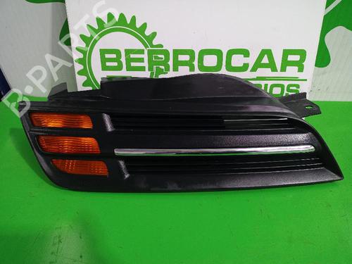 Gitter für NISSAN MICRA III (K12) [2002-2011]  31674317