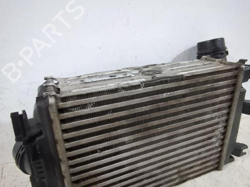 Intercooler NISSAN QASHQAI II (J11, J11_) 1.3 DIG-T | BP31568242M30 