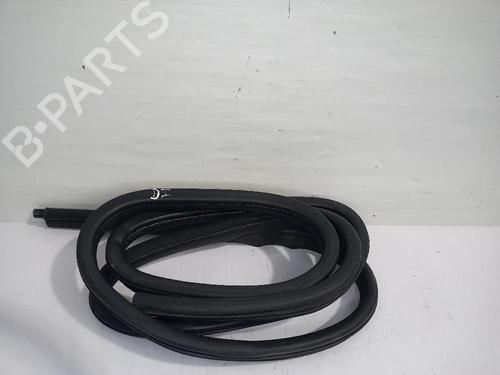 Gummiliste RENAULT MEGANE I (BA0/1_) 1.6 e (BA0F, BA0S) (90 hp) 31556831