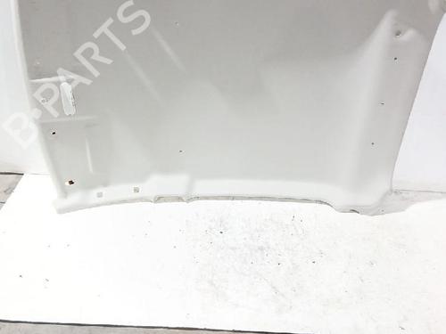 Interiør taket DACIA SANDERO II 1.5 dCi (90 hp) 31566503