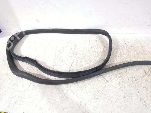 rubber-door-seal-dacia-sandero-ii-2012-31566754 main image