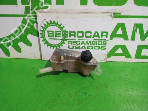Used Expansion tank RENAULT MEGANE II Coupé-Cabriolet (EM0/1_) 1.6 (113 hp) 31552424