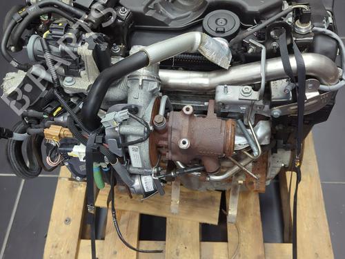 Engine DACIA SANDERO II  | BP38862157M1  - Image 7