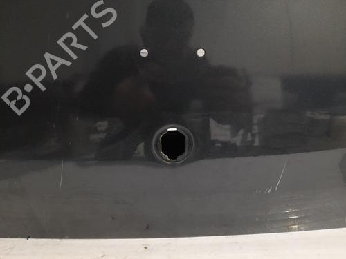 Tailgate DACIA SANDERO II | BP38861272C6 - Image 3