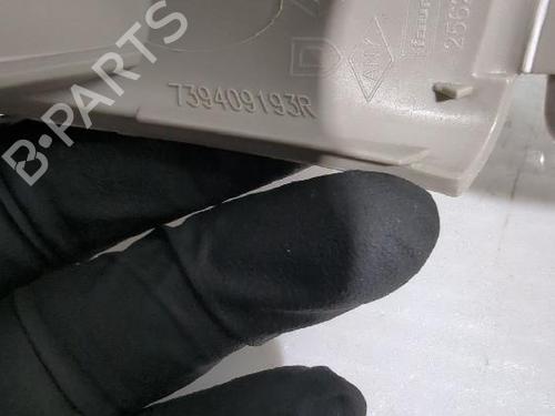 Interior roof handle DACIA DUSTER (HM_) 1.0 TCe 90 (HMM6) | BP32462653I35