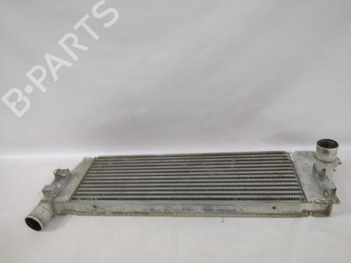 Intercooler Intercooler RENAULT MEGANE II Saloon (LM0/1_) 1.5 dCi (LM1F) (86 hp) 34118968 34118968