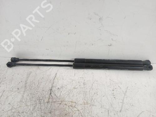 gassdemper-bakluke-dacia-sandero-ii-2012-31566490 main image