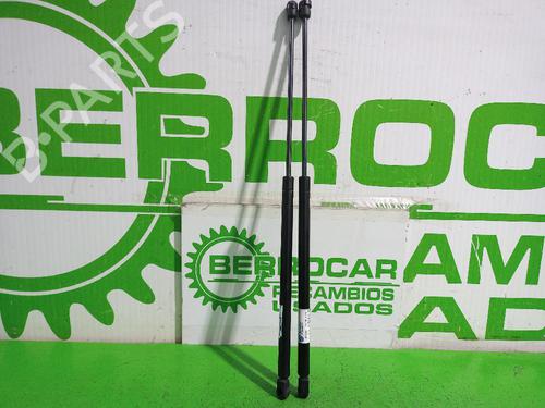 tailgate-lift-support-ford-fiesta-v-jh_-jd_-2001-2002-2003-2004-2005-2006-2007-2008-2009-2010-2011-2012-2013-2014-31550579 main image