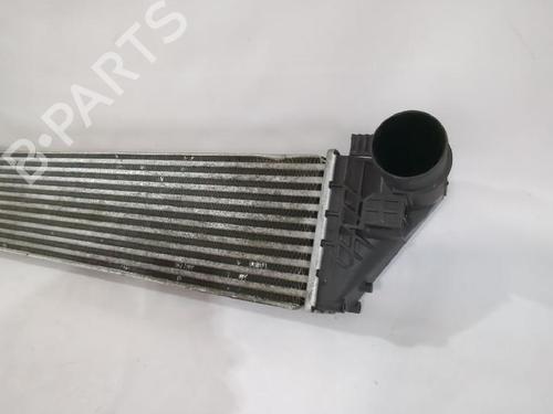 Intercooler RENAULT ESPACE IV (JK0/1_) 2.0 dCi (JK01, JK02, JK1J, JK1K, JK1H) | BP38498651M30 - Image 2