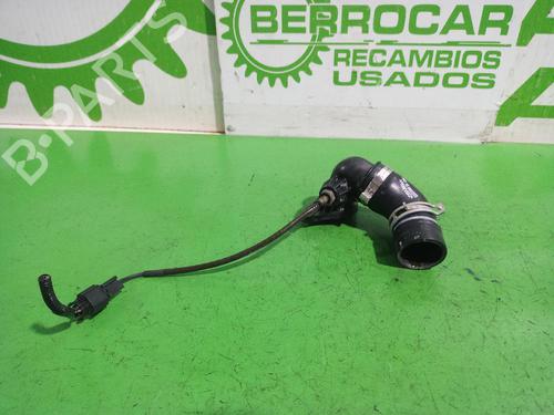 Pipe RENAULT KANGOO BE BOP (KW0/1_) 1.5 dCi 75 | BP31552016M125 
