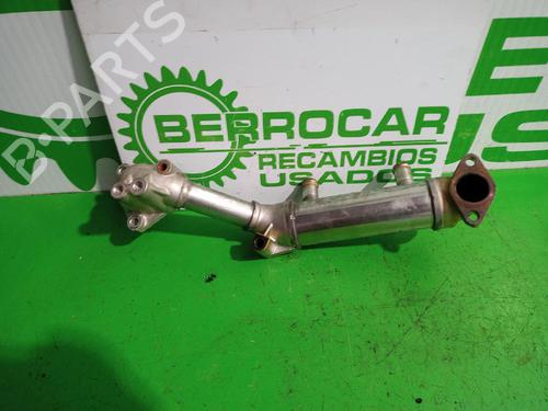 Egr KIA CARNIVAL I (UP, FL) | BP31675080M69