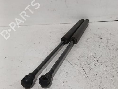 Tailgate lift support PEUGEOT 307 (3A/C) 1.4 16V | BP32465876C138