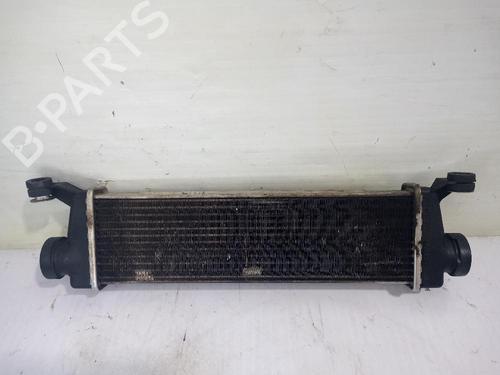 Used Intercooler Intercooler MERCEDES-BENZ A-CLASS (W168) [1997-2005] 31677336 31677336