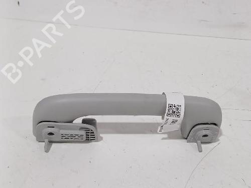 Interior roof handle HYUNDAI i20 III (BC3, BI3) 1.0 T-GDI | BP32462512I35