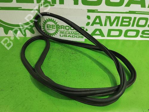 Gummiliste RENAULT ESPACE IV (JK0/1_) [2002-2026]  31674845