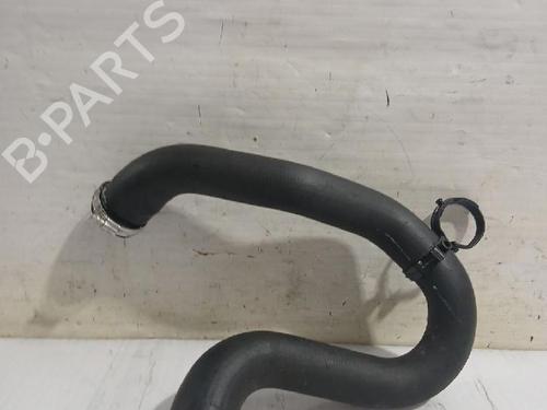 Used Pipe PEUGEOT RIFTER 1.5 BlueHDi 100 (102 hp) 31564685