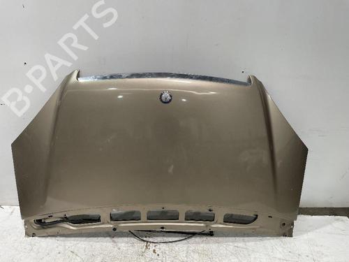 Capot MERCEDES-BENZ A-CLASS (W169) A 200 CDI (169.008, 169.308) (140 hp) 31561505