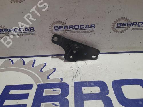 hingedoor-check-strap-renault-kangoo-be-bop-kw01_-2009-31538711 main image
