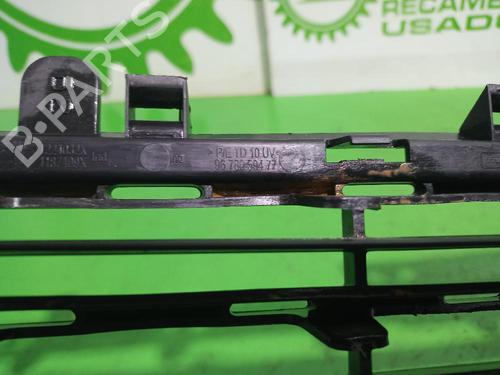 Grille PEUGEOT 2008 I (CU_) | BP31676902C40