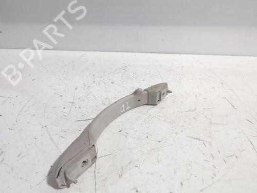 Interior roof handle CITROËN C3 II (SC_) 1.4 HDi 70 (SC8HZC, SC8HR0, SC8HP4) | BP32463861I35