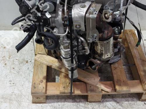 Engine HYUNDAI i20 III (BC3, BI3) 1.0 T-GDI | BP32461778M1