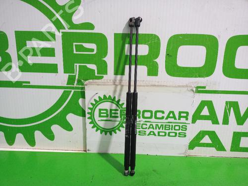 tailgate-lift-support-fiat-bravo-ii-198_-2006-2007-2008-2009-2010-2011-2012-2013-2014-2015-2016-31552276 main image