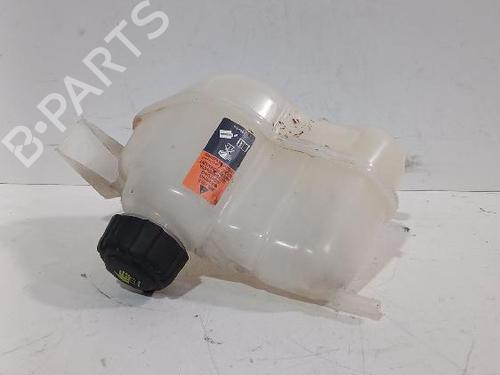 Ekpansionstank NISSAN QASHQAI II (J11, J11_) 1.3 DIG-T (140 hp) 31568241