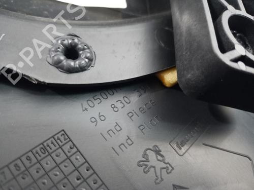 Rear left panel PEUGEOT 3008 I MPV (0U_) 1.6 HDi | BP31555209C60