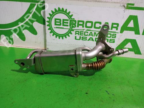 Egr RENAULT KANGOO BE BOP (KW0/1_) 1.5 dCi 75 | BP31552013M69 