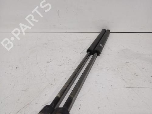 Tailgate lift support FORD FOCUS C-MAX (DM2) 2.0 TDCi | BP32464584C138