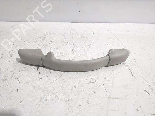 interior-roof-handle-citroen-c3-ii-sc_-2009-32463857 main image