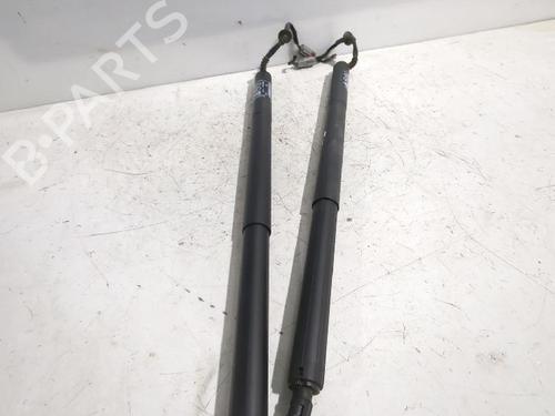 Tailgate lift support FORD PUMA (J2K, CF7) 1.0 EcoBoost | BP32464952C138 