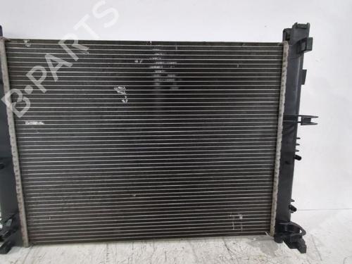 Water radiator DACIA SANDERO II 1.5 dCi | BP31566507M31 - Image 4