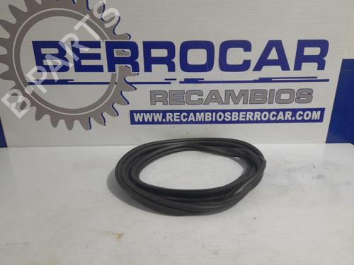 Türkonturgummi für RENAULT LAGUNA II (BG0/1_) [2001-2007]  31673796