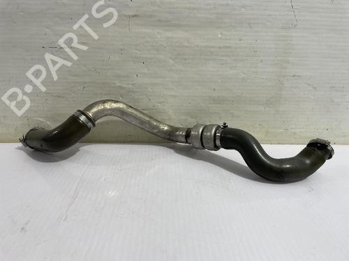 Rohr für RENAULT SCÉNIC II (JM0/1_) [2003-2010]  31677502