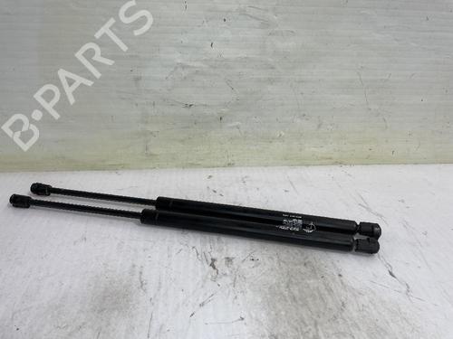 Used Tailgate lift support RENAULT SCÉNIC II (JM0/1_) 1.5 dCi (JM1F) (86 hp) 31558754