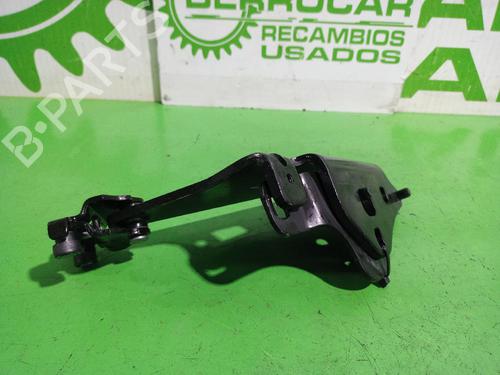 Hinge/Door check strap RENAULT KANGOO BE BOP (KW0/1_) 1.5 dCi 75 | BP31551932C146