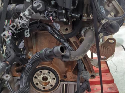 Engine RENAULT KANGOO Express (FW0/1_) 1.5 dCi 90 (FW0G, FW05, FW08, FW11) | BP38866533M1 - Image 5