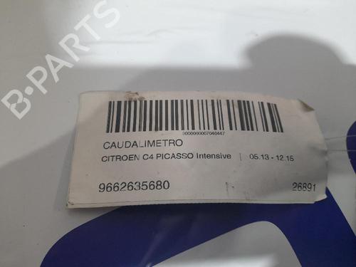 Mass air flow sensor CITROËN C4 Picasso I MPV (UD_) | BP31673539M95