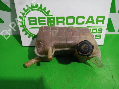 Used Expansion tank RENAULT SCÉNIC II (JM0/1_) 1.6 BiFuel (113 hp) 31544781