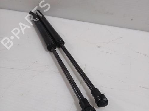 Hood lift support BMW 1 (E87) 120 d | BP31565669C139 
