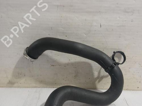 Used Pipe PEUGEOT RIFTER 1.5 BlueHDi 100 (102 hp) 31564685