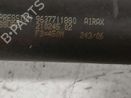 Tailgate lift support PEUGEOT 307 (3A/C) 1.4 16V | BP32465876C138