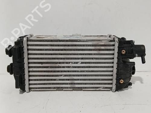 Used Intercooler HYUNDAI i20 III (BC3, BI3) 1.0 T-GDI (101 hp) 31567189