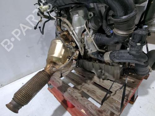 Engine FORD PUMA (J2K, CF7) 1.0 EcoBoost | BP32464763M1