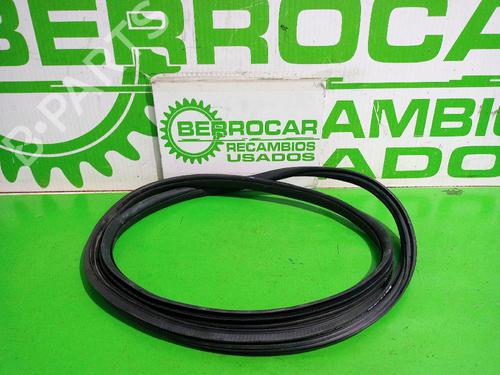 Used Rubber door seal CITROËN C3 II (SC_) 1.2 VTi 82 (82 hp) 31551545