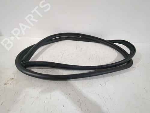 Gummiliste TOYOTA RAV 4 V (_A5_, _H5_) 2.0 (MXAA52) (175 hp) 31563932